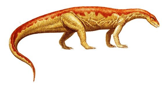 Anchisaurus