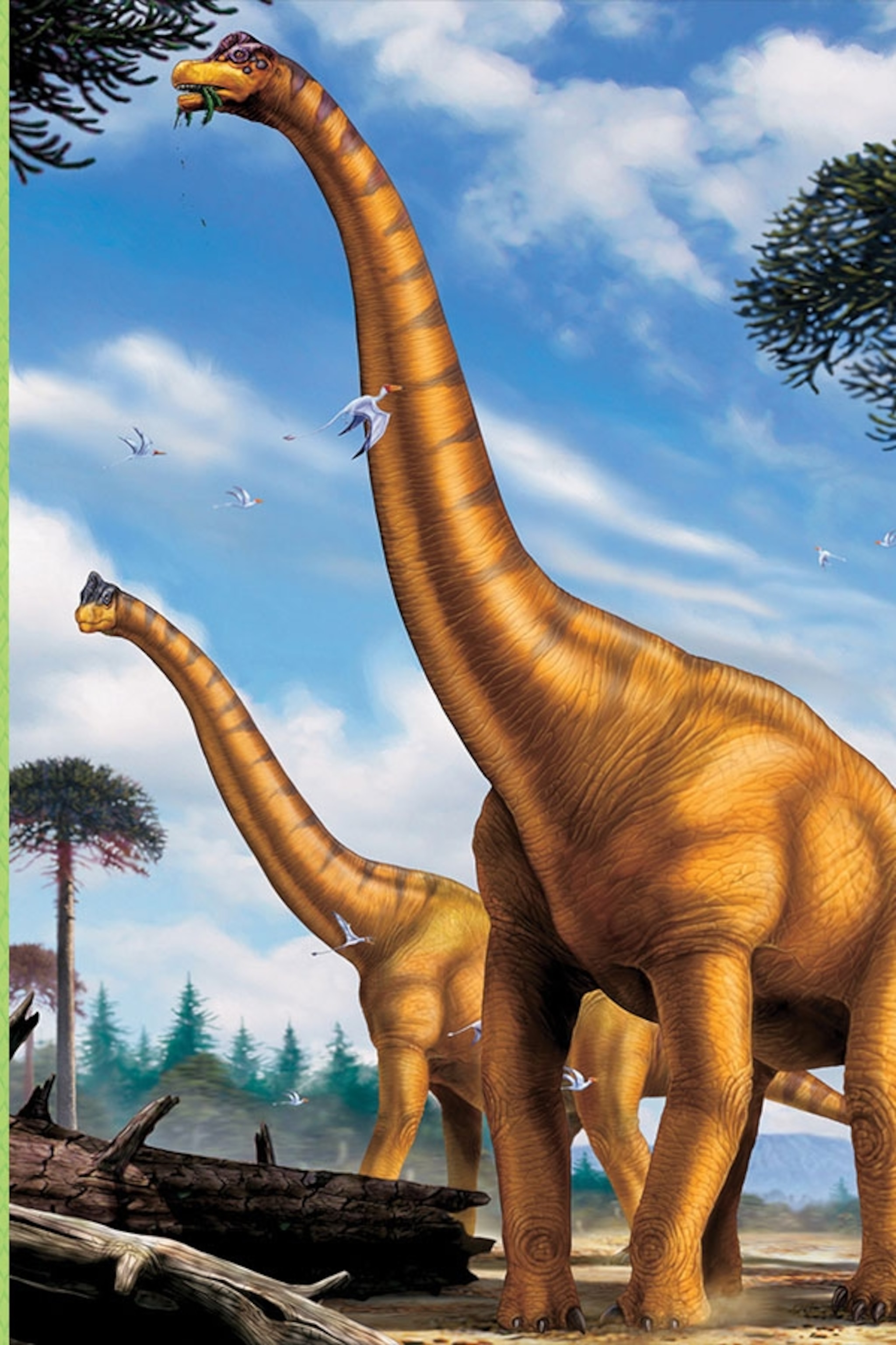 Brachiosaurus