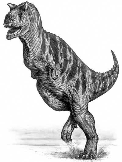 Carnotaurus