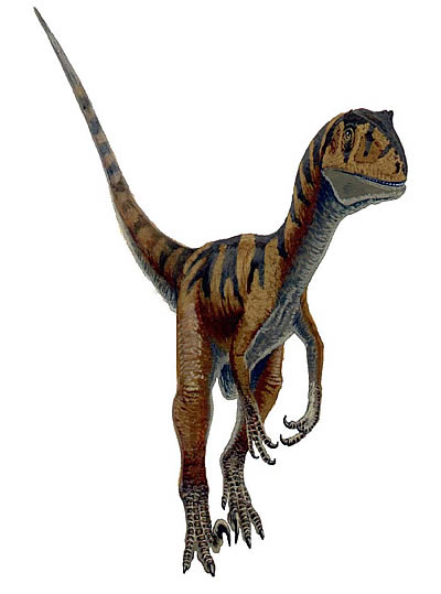 Deinonychus