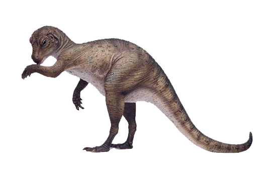 Heterodontosaurus