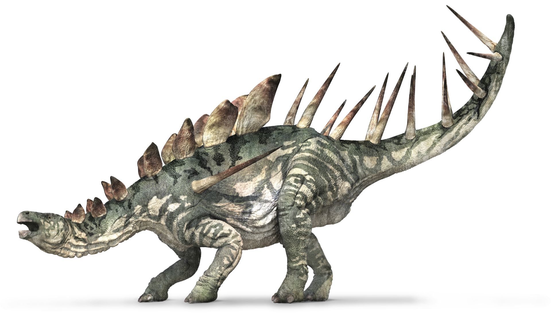 Kentrosaurus