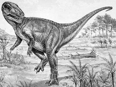 Megalosaurus