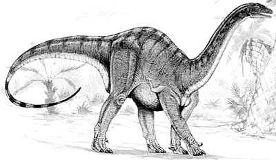 Mussaurus