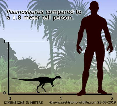 Pisanosaurus