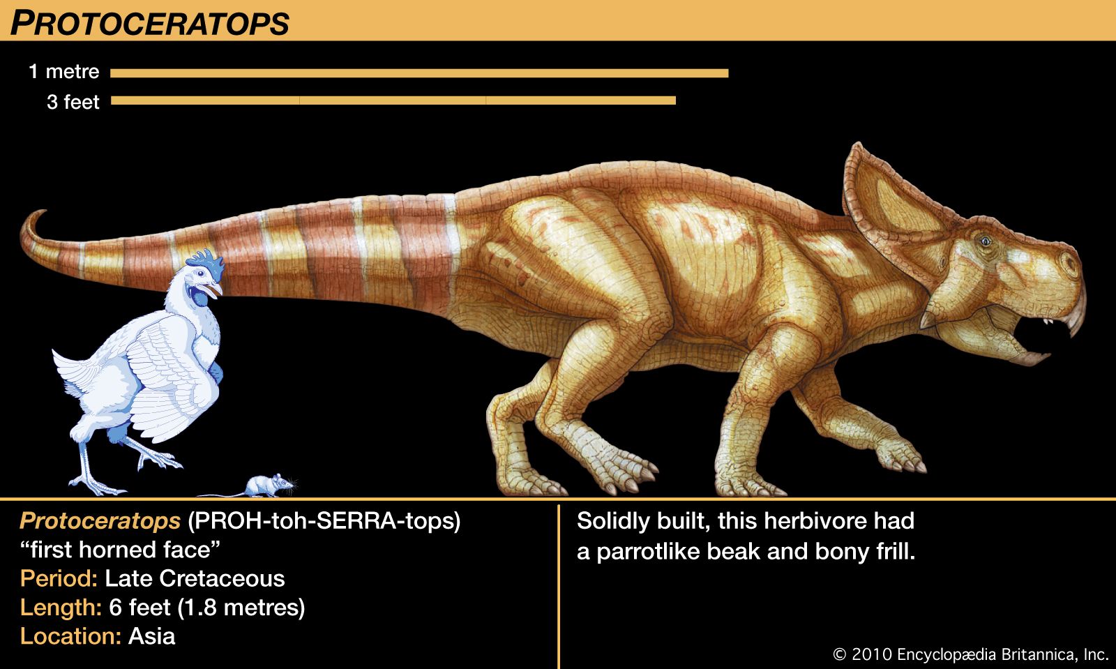 Protoceratops