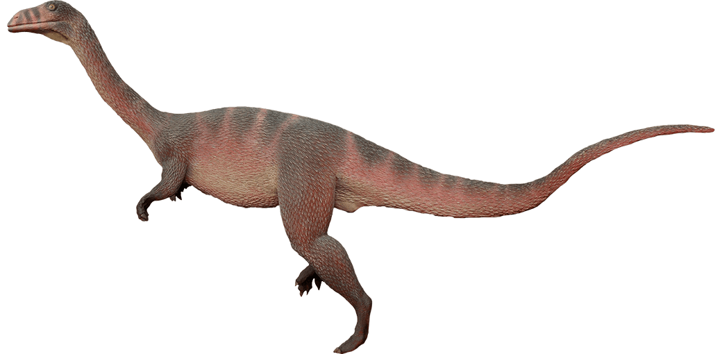 Sellosaurus