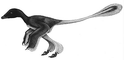 Sinornithosaurus