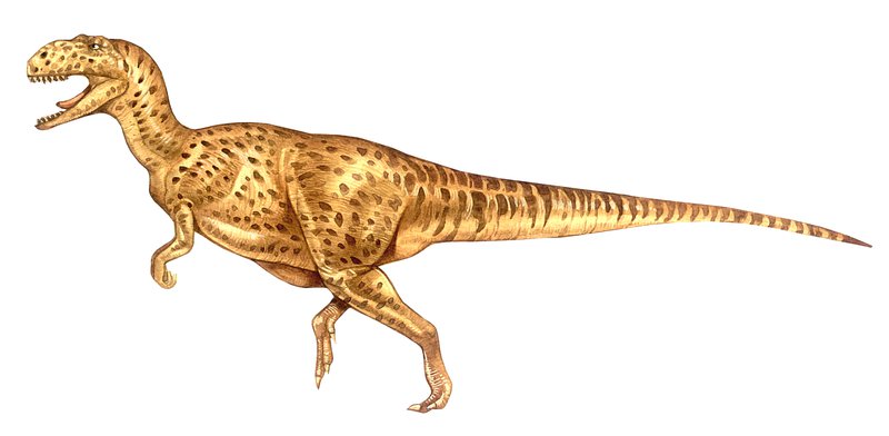 Yangchuanosaurus